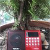Máy tụng kinh dược sư