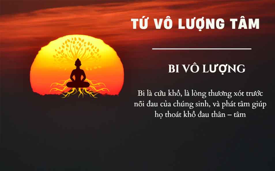 Bi Vô Lượng Tâm