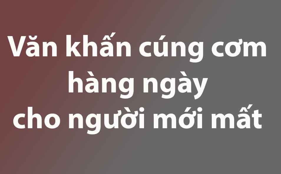 Văn khấn cúng cơm hàng ngày cho người mới mất Trong 49 Ngày Theo Phật Giáo. 3 Văn khấn cúng cơm hàng ngày người mới mất